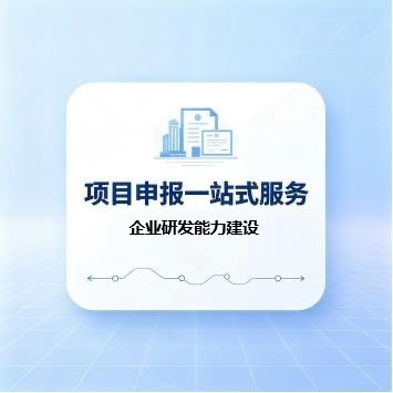 企业研发能力建设(咨询服务)